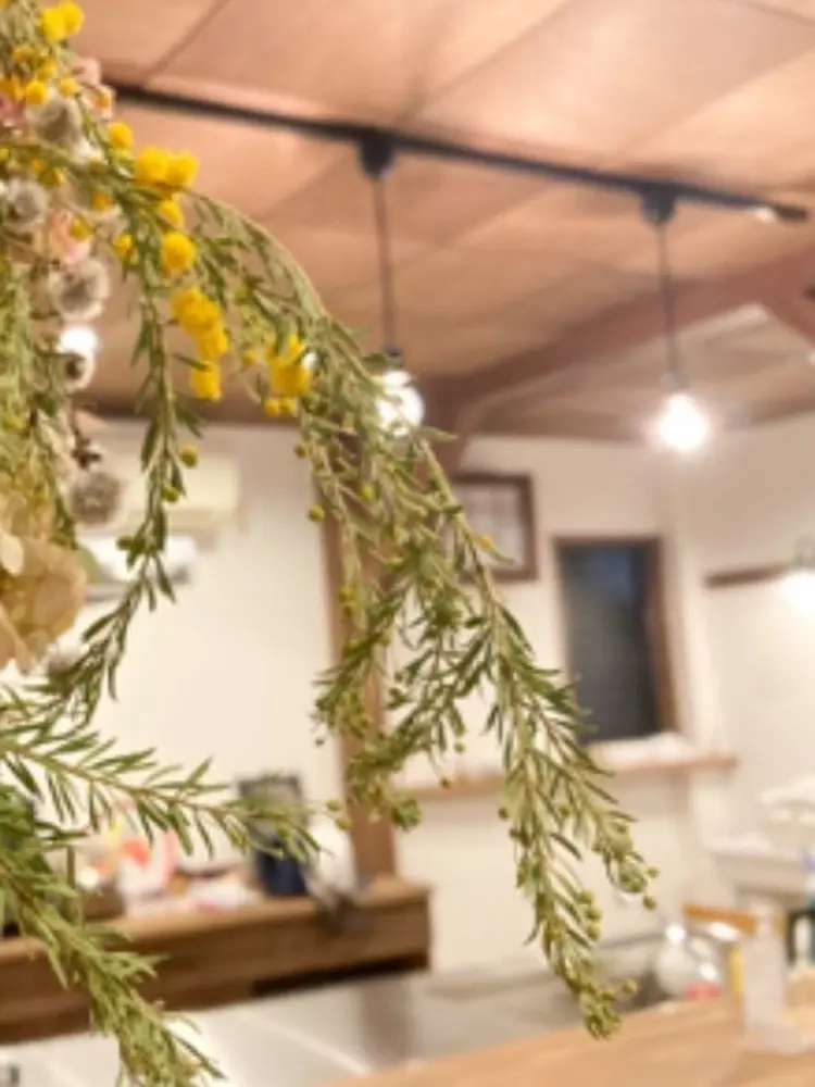 usagi nailの内観・外観1