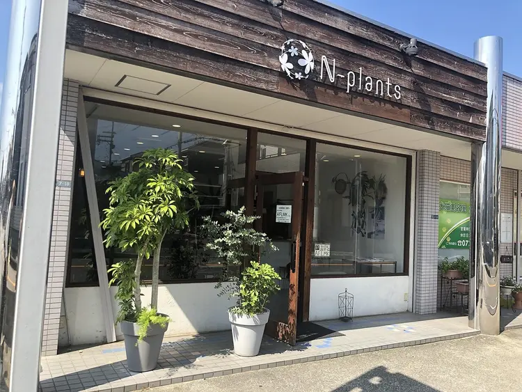 N-plants 和泉中央店の内観・外観1