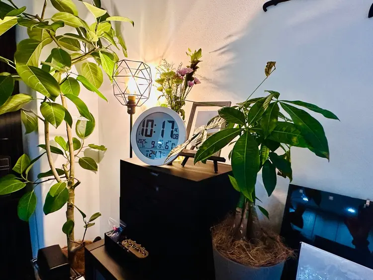 ルモスコLumoscoの内観・外観2