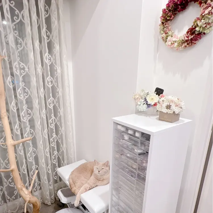 Rawr（ロアー）の内観・外観3