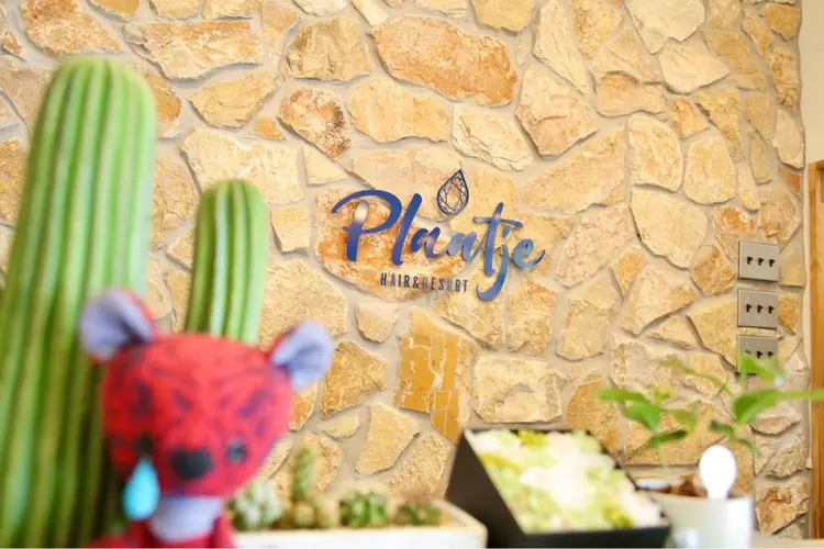 plaatje橋本の内観・外観3