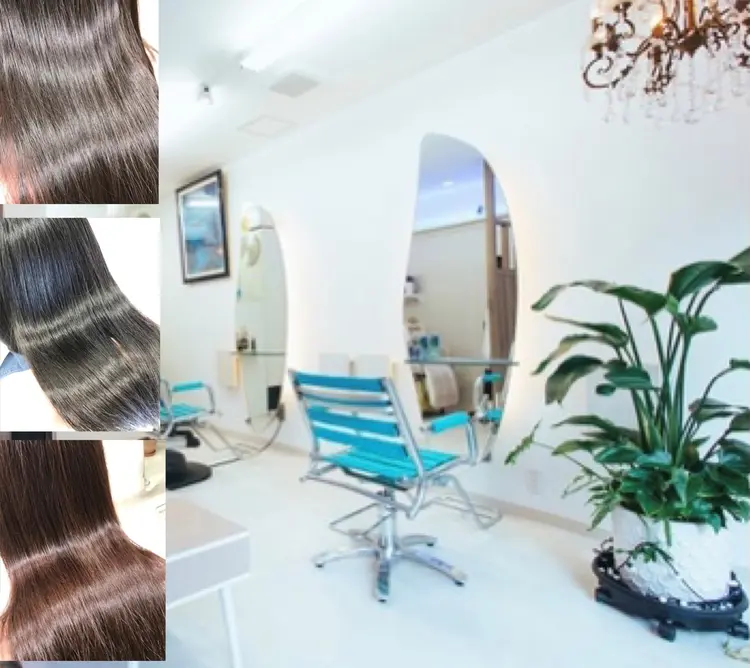 ドルフィンの画像