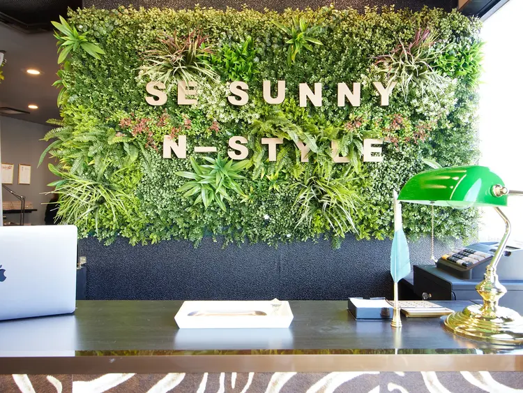 SE SUNNY N-styleの画像