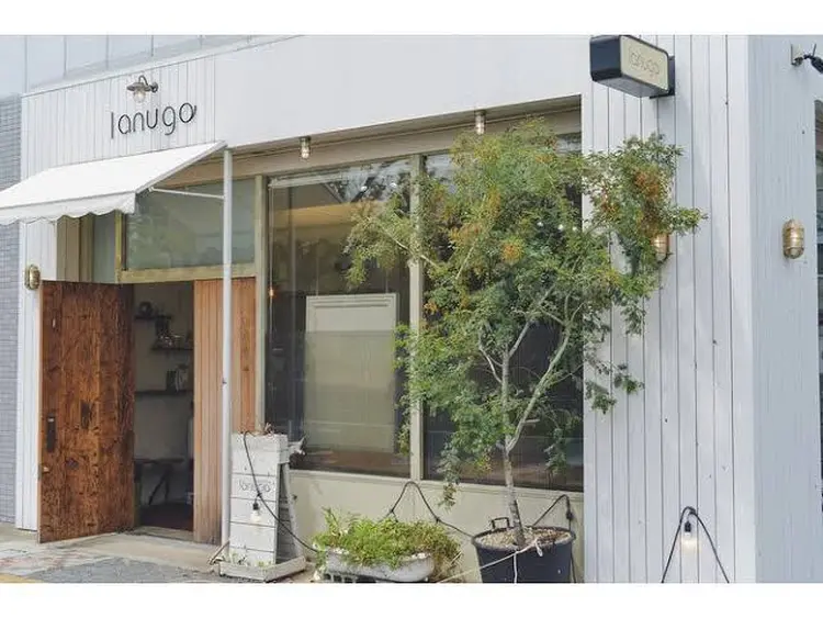 lanugoの内観・外観1