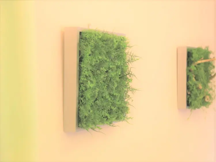 町田バランス整体院の内観・外観2