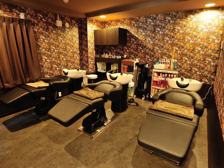 ALICE by Brand new×LIVの内観・外観3