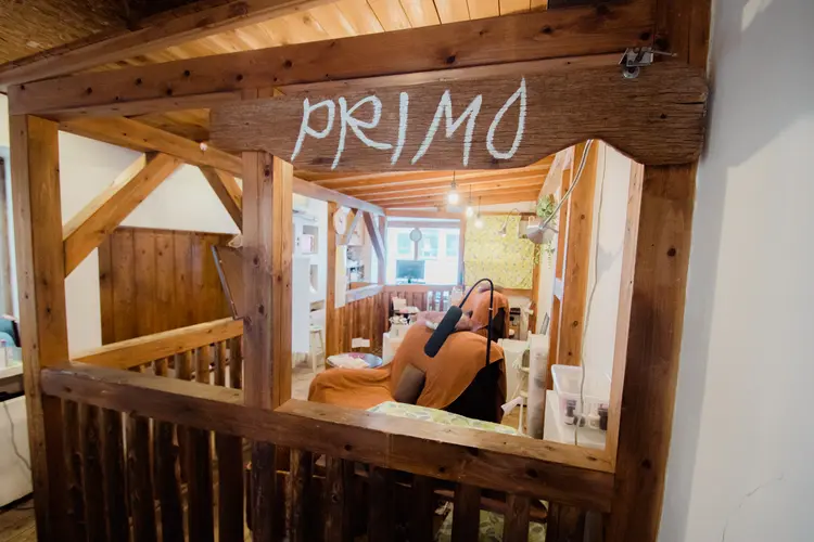 PRIMO プリモの内観・外観1