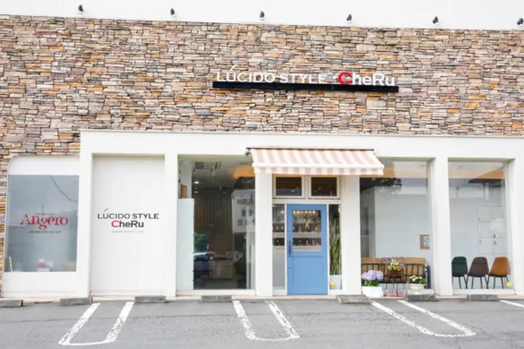 ルシードスタイルチェルの内観・外観1