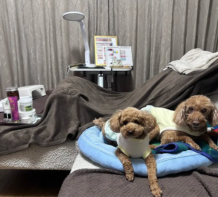 Fuu Nailsの内観・外観3