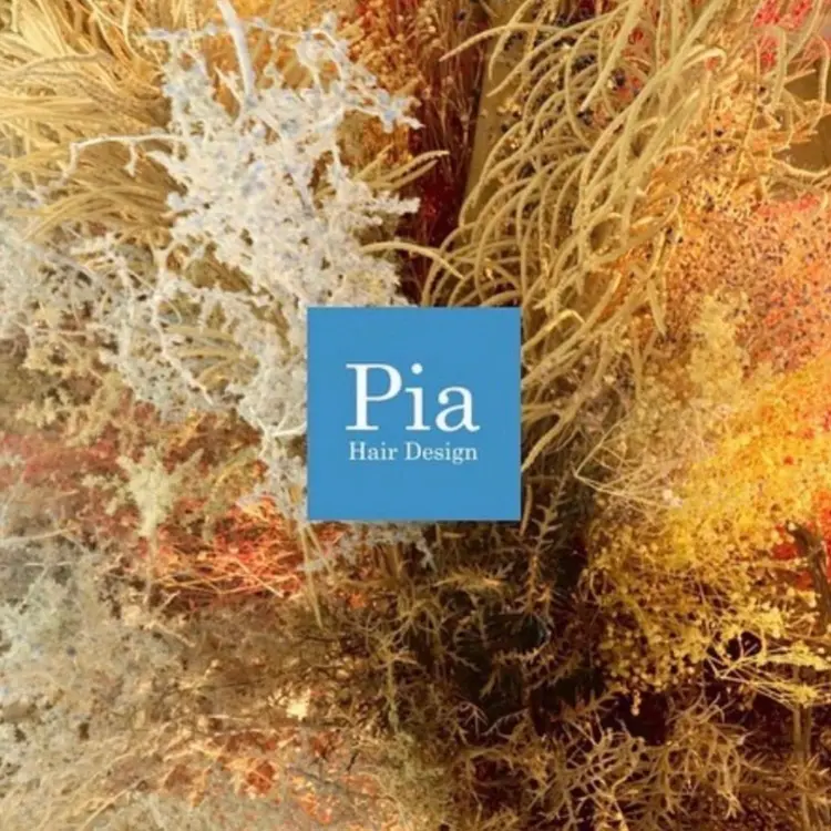 Pia hair design Yakuinの内観・外観1