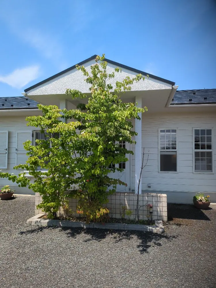 ヘアクリニックフロールの内観・外観2