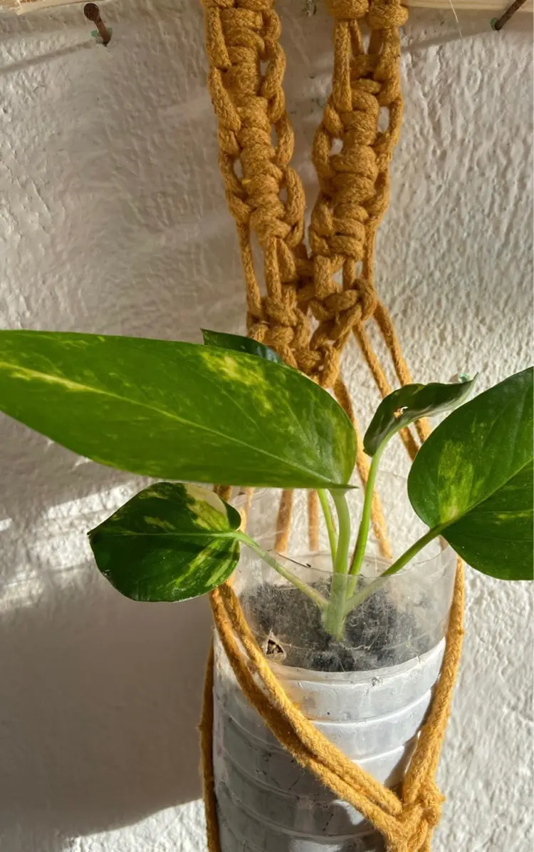 fully nakameguroの内観・外観1