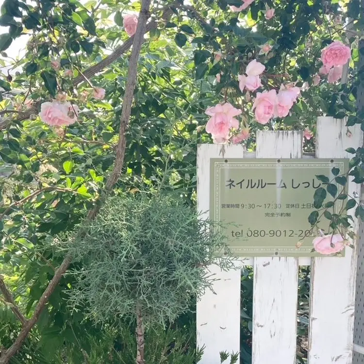 ネイルルーム しっしーの内観・外観1