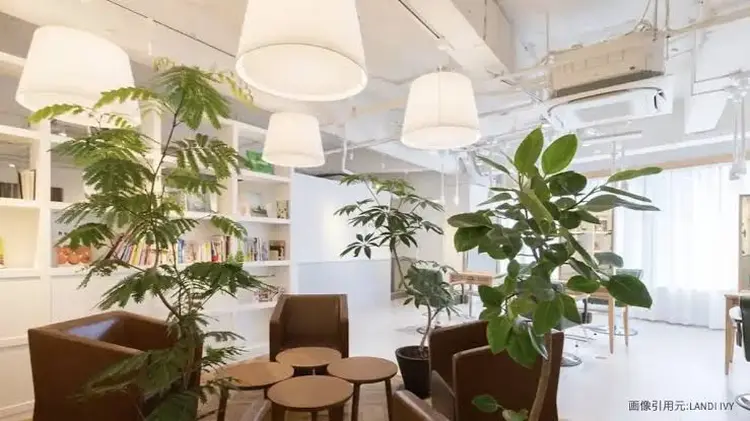 ivy      joureの内観・外観2