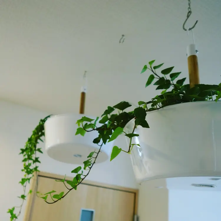 roccoの内観・外観3