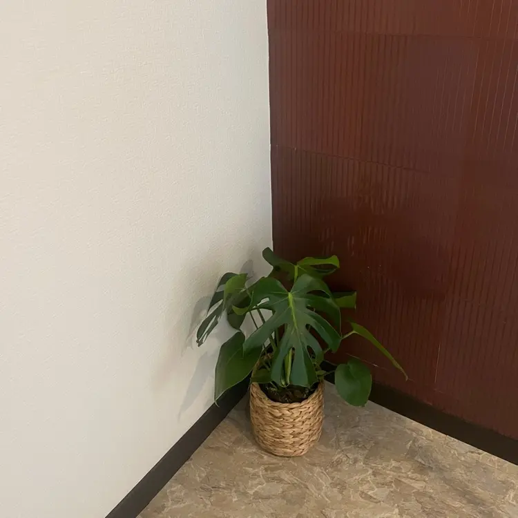 senyumの内観・外観2