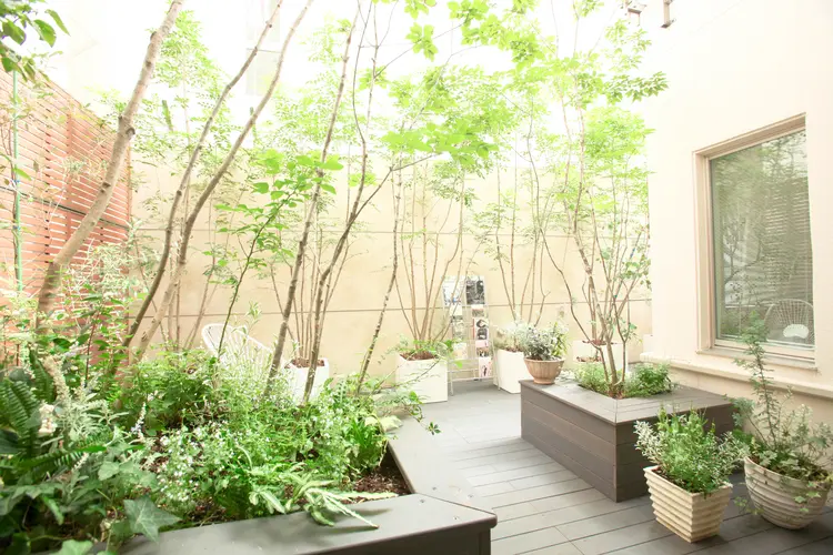 MARUNOUCHI salonの内観・外観2