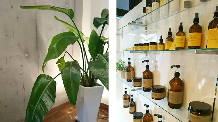 ke-to.beautyhiarの内観・外観3