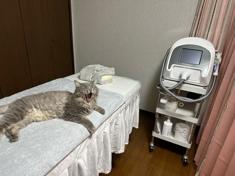 脱毛サロン ふありの内観・外観1