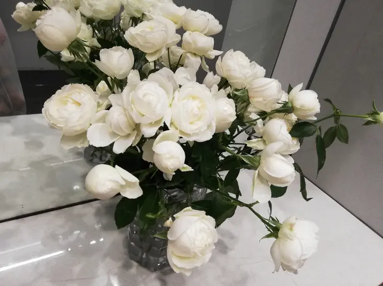 angelux の内観・外観3