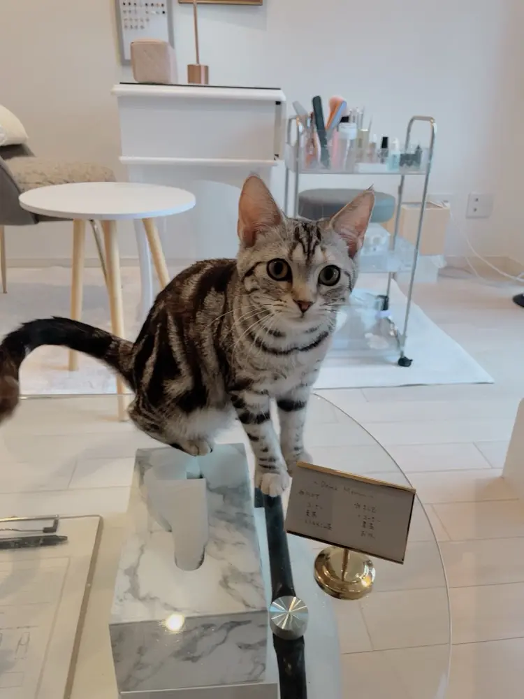 ネイルサロン Chopinの内観・外観3