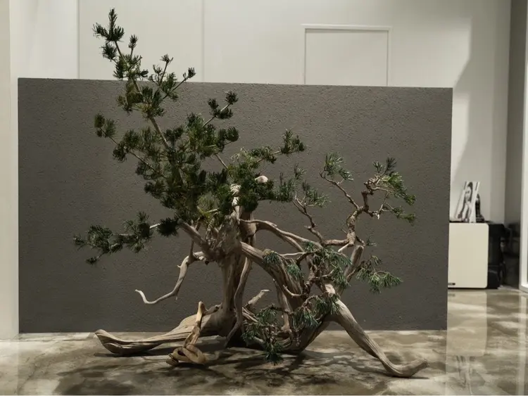 Maison JINGUの内観・外観3