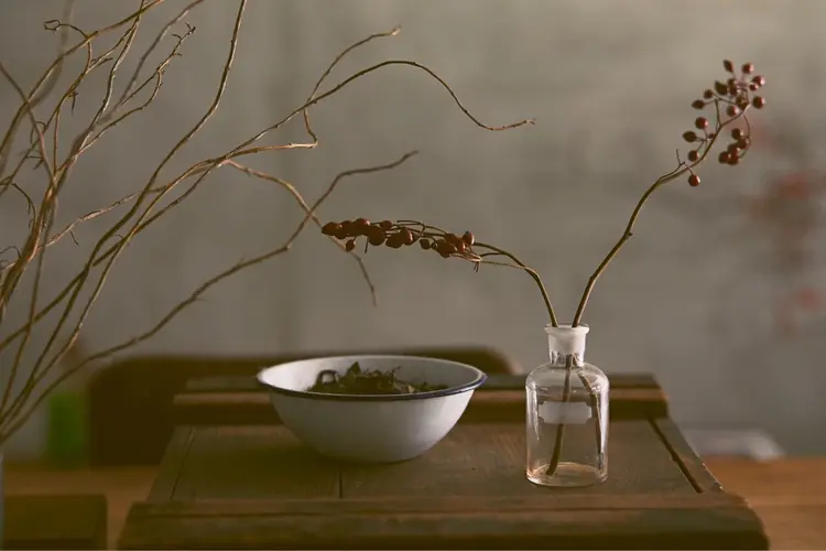 ウツワの内観・外観1