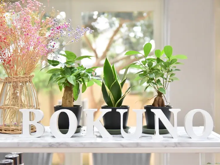 髪質改善美容室bokuno3号店の内観・外観1