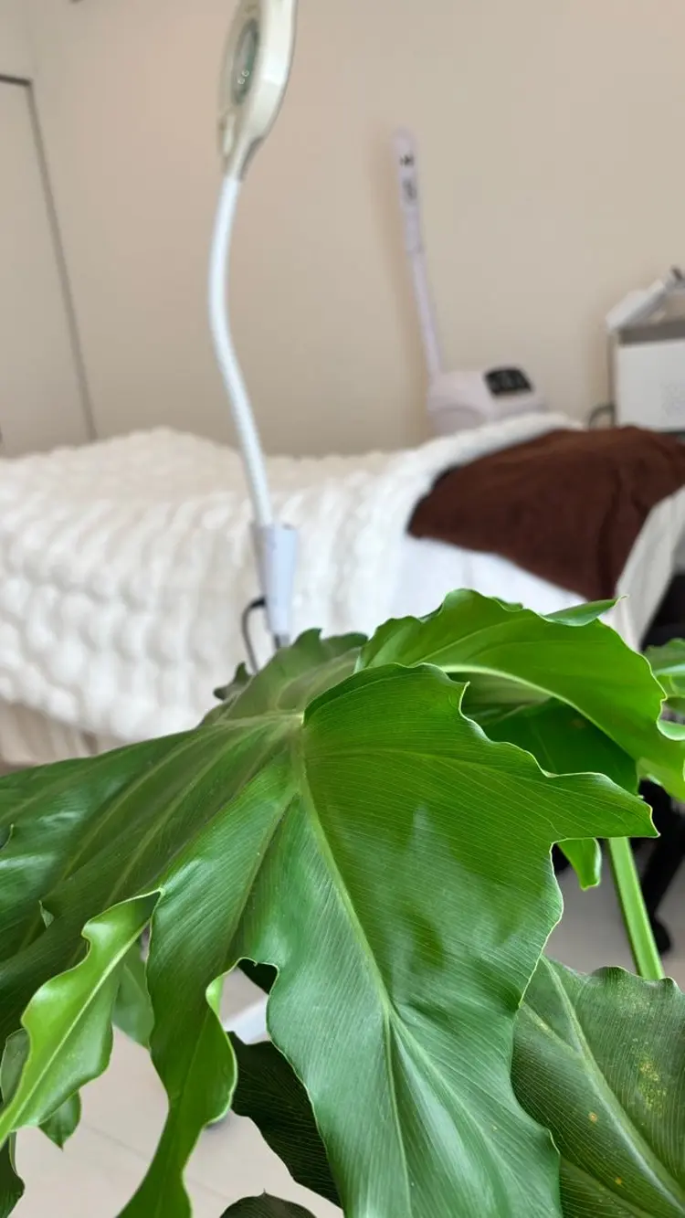 Belle et douceの内観・外観2