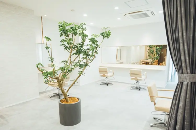 Aoの内観・外観2