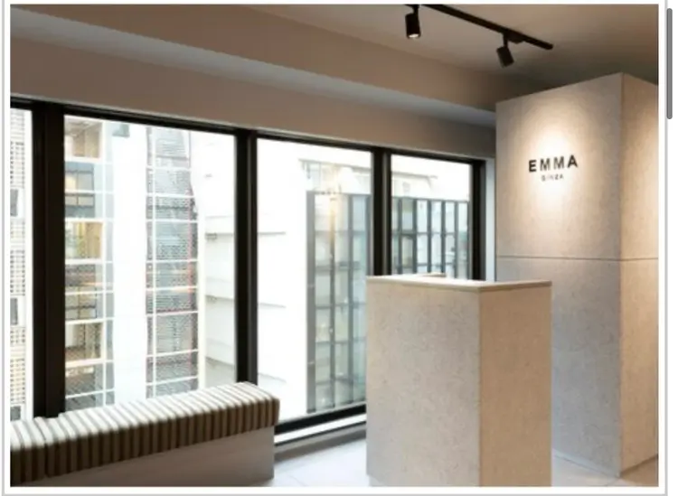 EMMA GINZAの内観・外観1