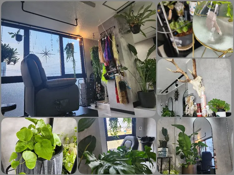 ESTELAの内観・外観3