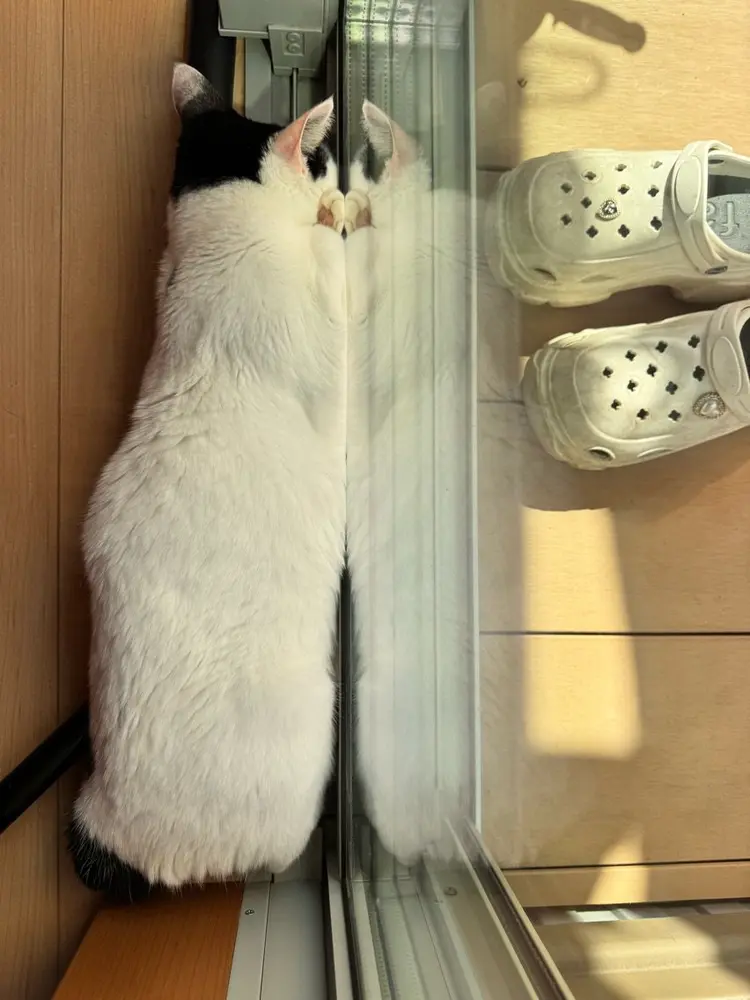 RinRin　nailの内観・外観3