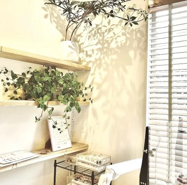 floraの内観・外観1