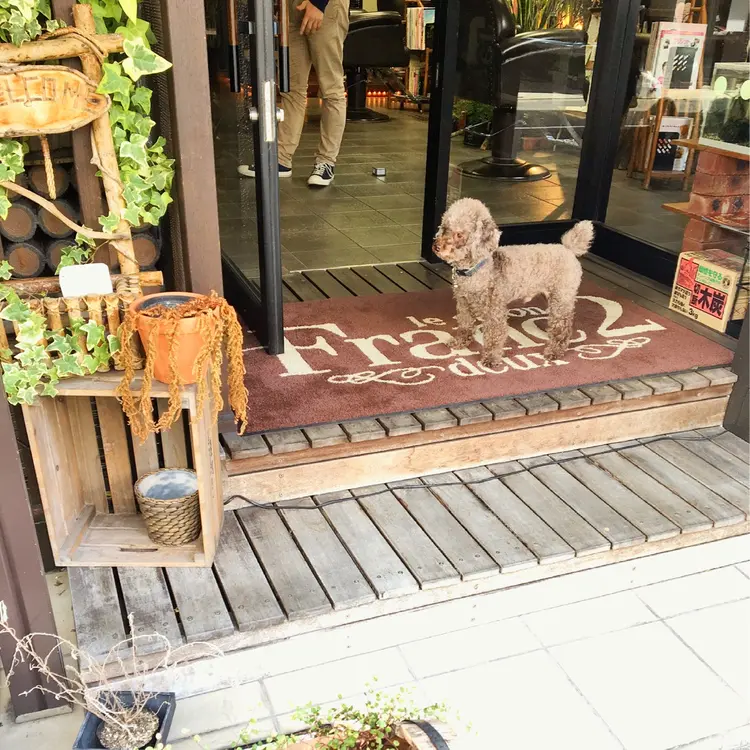 Franc2 nailの内観・外観1