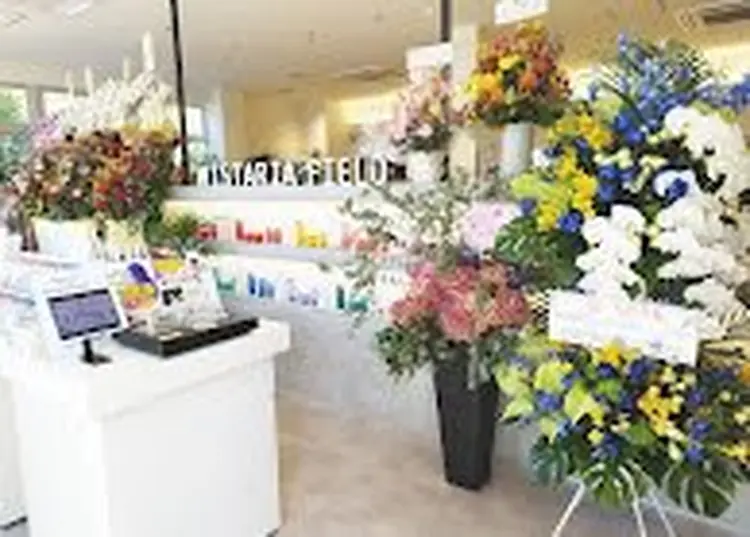 WISTARIA FIELD-PLANCHESの内観・外観2