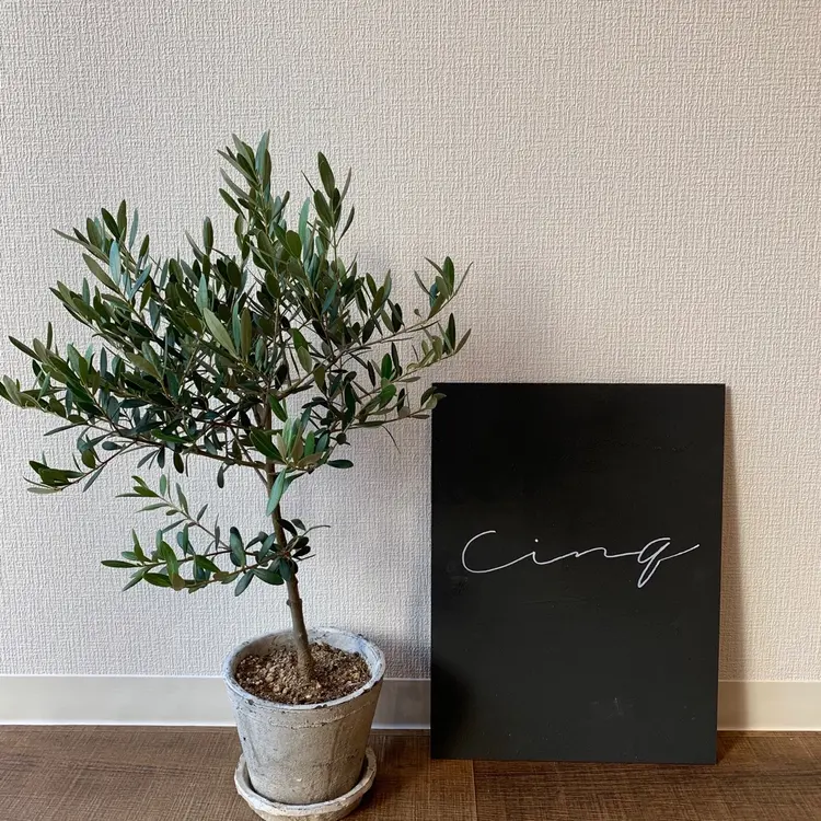 cinqの内観・外観1