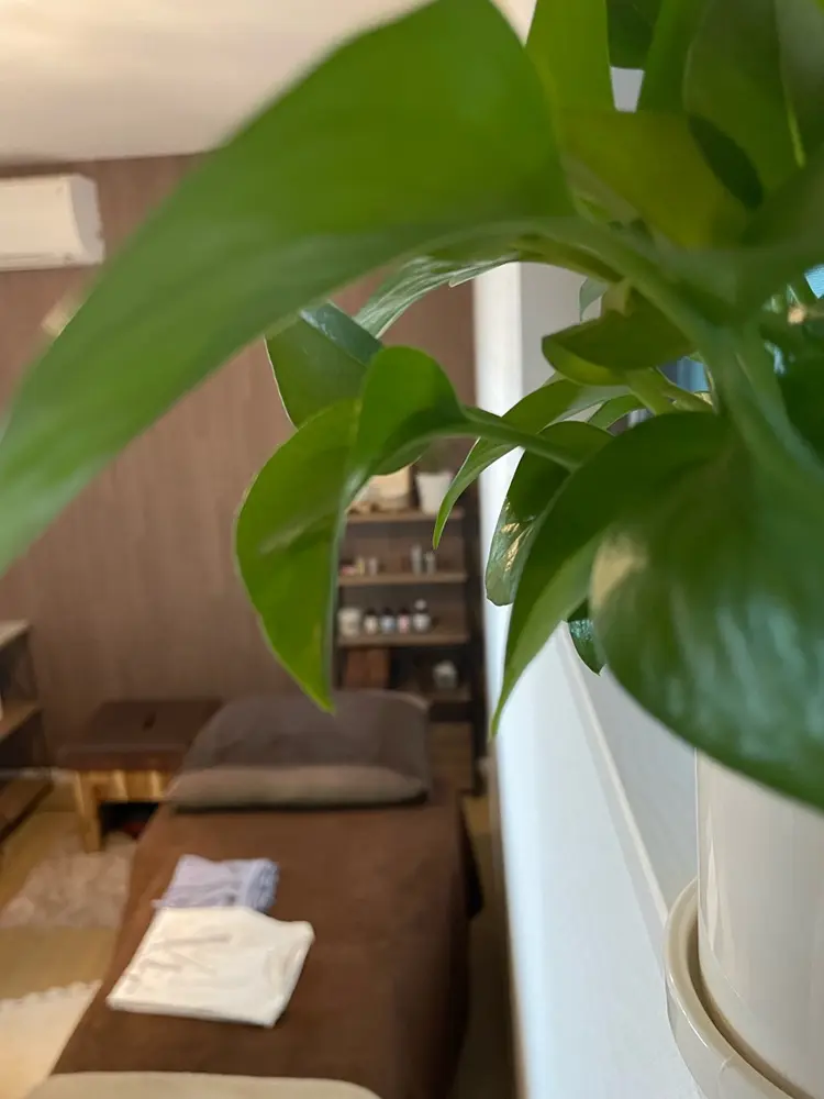 女性のための体質改善サロン Ma Vie -マヴィ-の内観・外観2