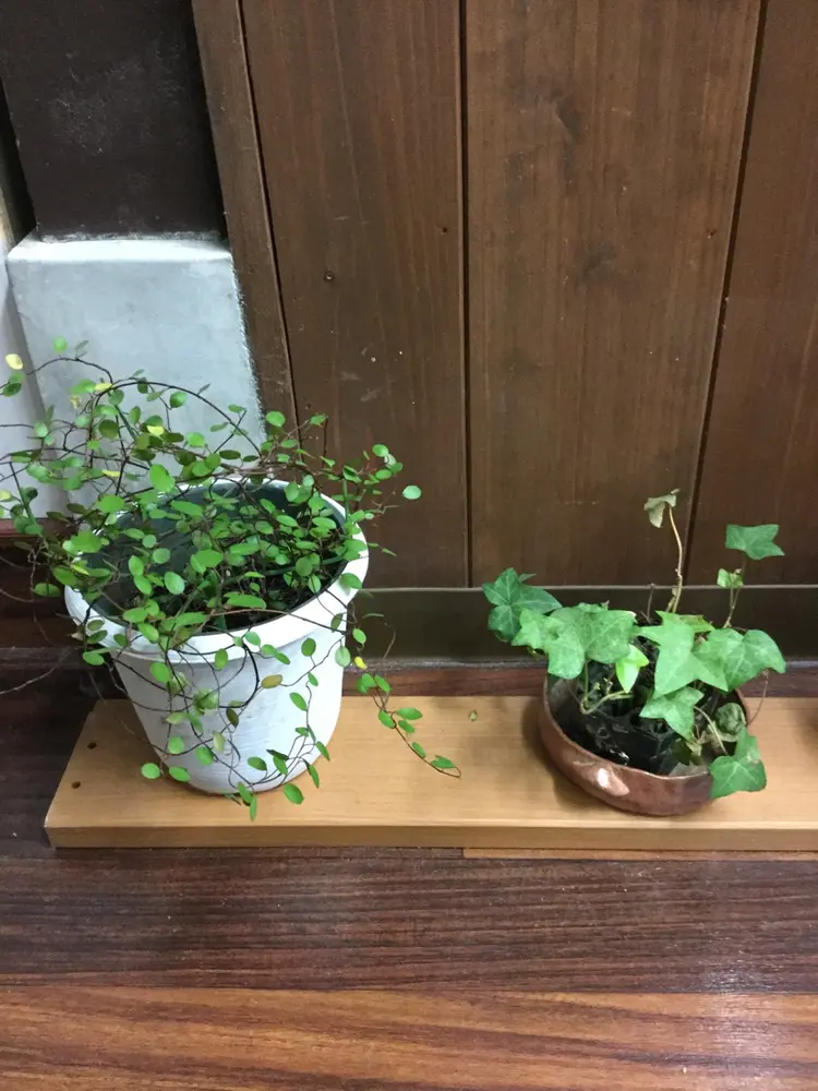 beauty salon 乙沙麗の内観・外観2