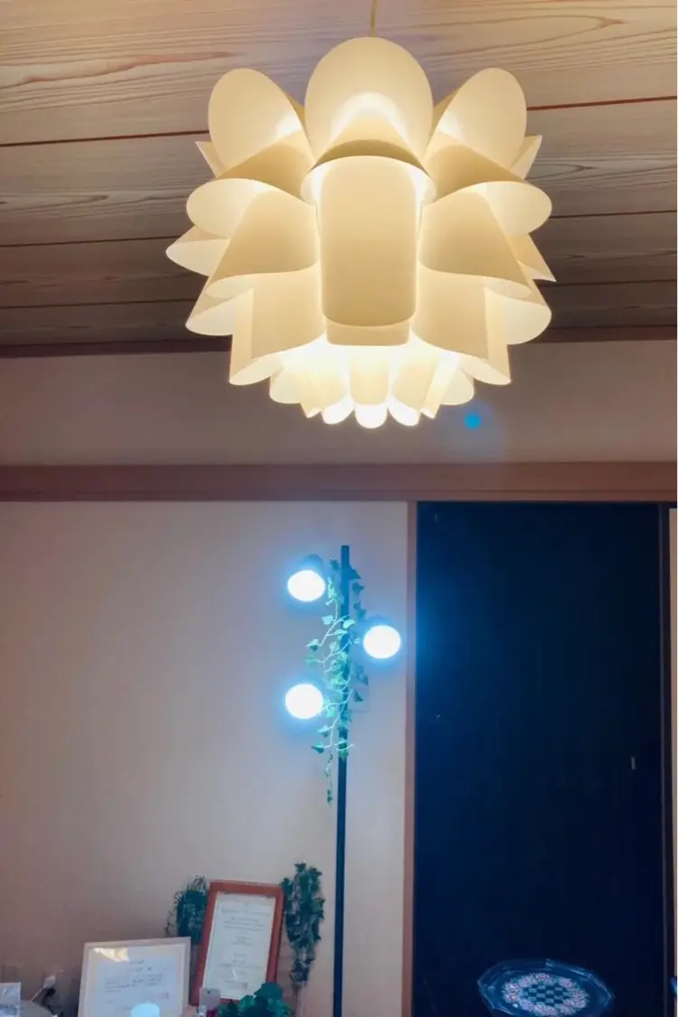 果梨木草の内観・外観2