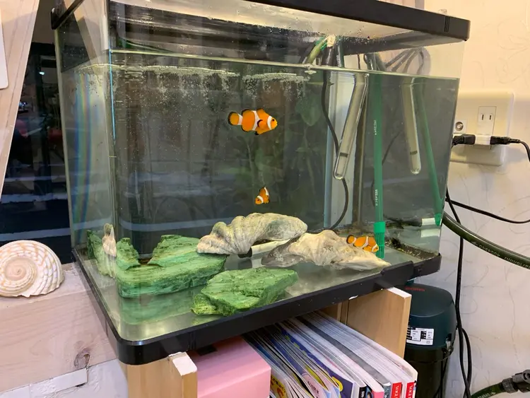 show hairの内観・外観3