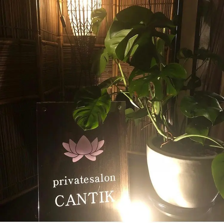 cantikの内観・外観1