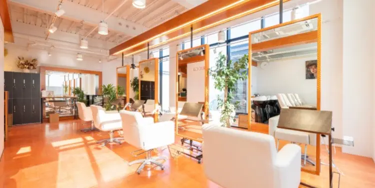 MINX  RICCaの内観・外観2