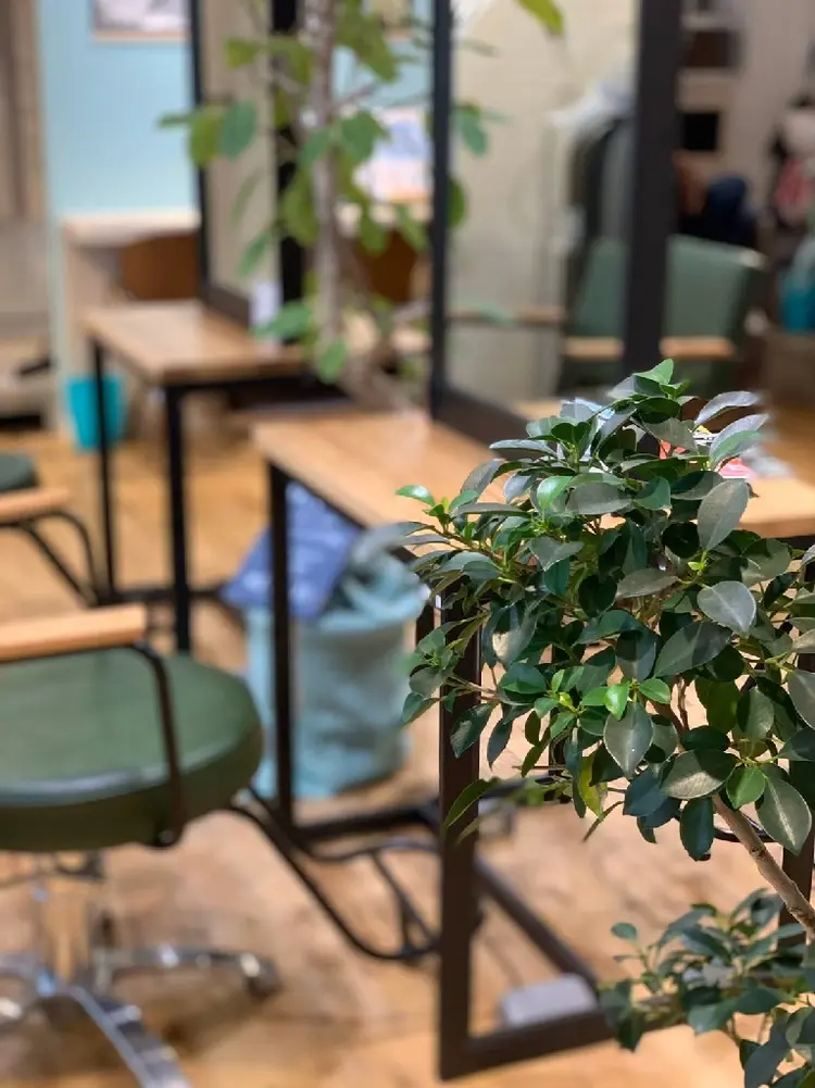 LaLa  Zipanguの内観・外観2