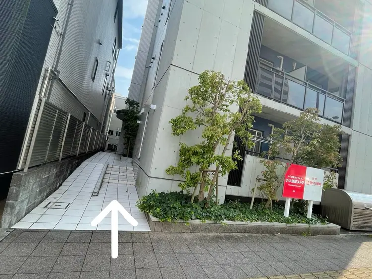 Elaphiaの内観・外観2