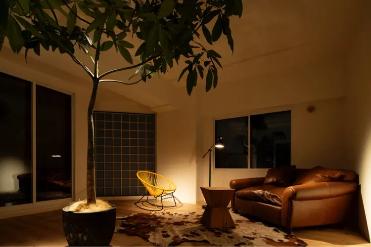 フィジカルコンディショニングサロン WHOLE  札幌円山の内観・外観1