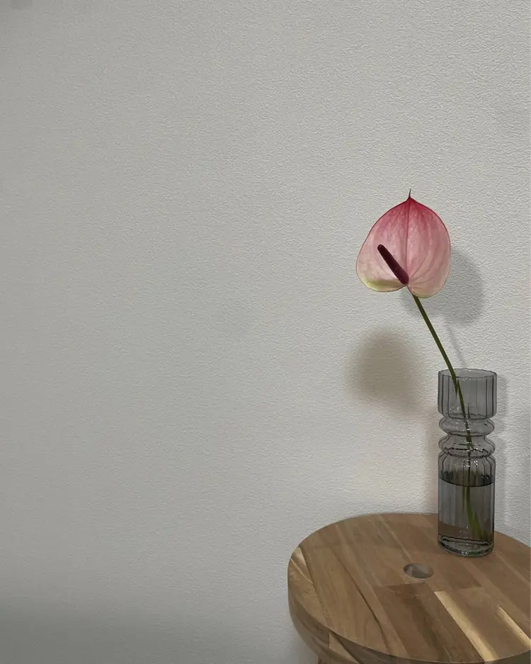 muua.の内観・外観3