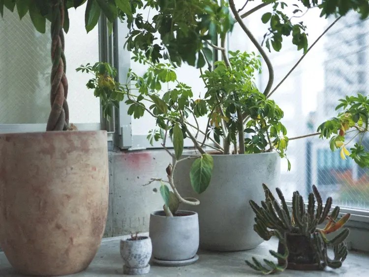 tenn 栄店の内観・外観1