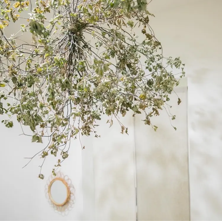 おうちサロン calme〜カルム〜の内観・外観1