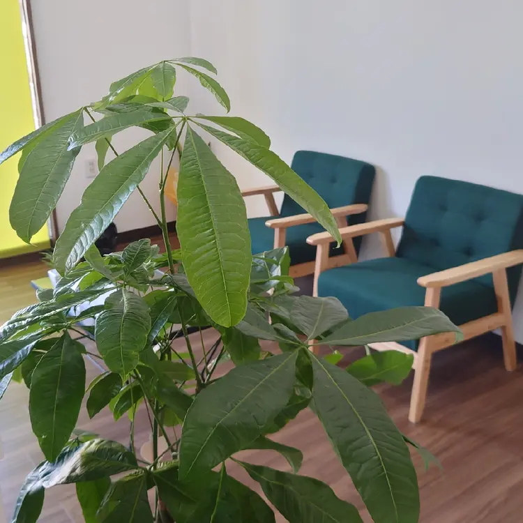 レナトス整体院の内観・外観3